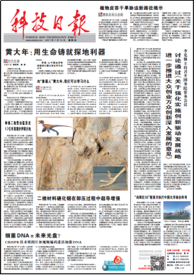 �й���̫������tcy8722(���޹�˾)������SunCityGroup